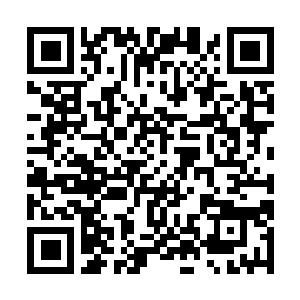 Link to your fundraiser QRCode - Fundraising