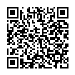 Link to your fundraiser QRCode - Fundraising