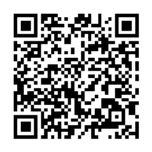 Link to your fundraiser QRCode - Fundraising