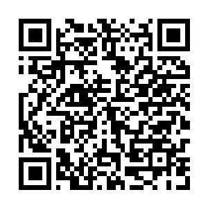 Link to your fundraiser QRCode - Fundraising