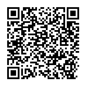 Link to your fundraiser QRCode - Fundraising