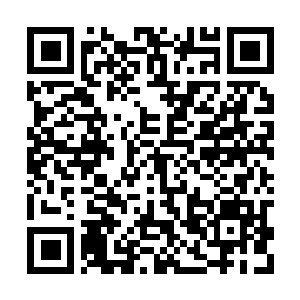 Link to your fundraiser QRCode - Fundraising