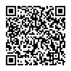 Link to your fundraiser QRCode - Fundraising