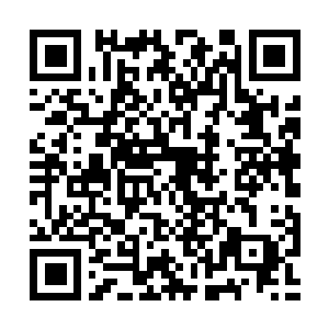 Link to your fundraiser QRCode - Fundraising
