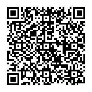 Link to your fundraiser QRCode - Fundraising