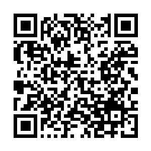Link to your fundraiser QRCode - Fundraising