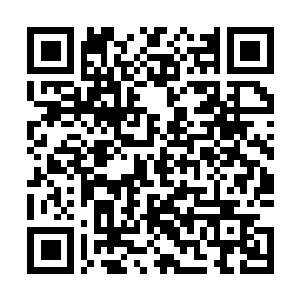 Link to your fundraiser QRCode - Fundraising