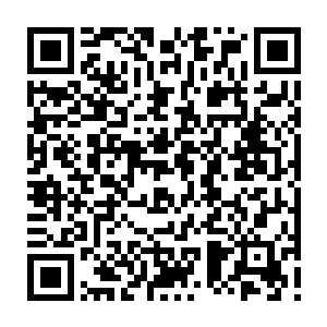 Link to your fundraiser QRCode - Fundraising