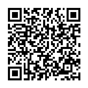 Link to your fundraiser QRCode - Fundraising