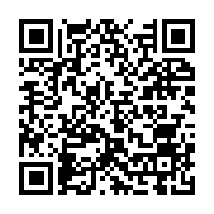 Link to your fundraiser QRCode - Fundraising