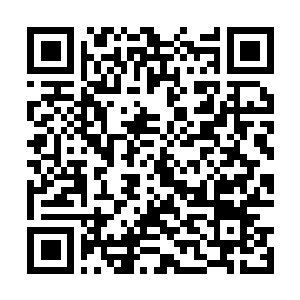 Link to your fundraiser QRCode - Fundraising