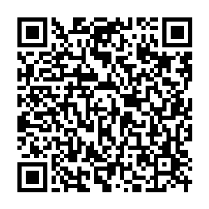 Link to your fundraiser QRCode - Fundraising