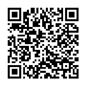 Link to your fundraiser QRCode - Fundraising