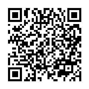 Link to your fundraiser QRCode - Fundraising