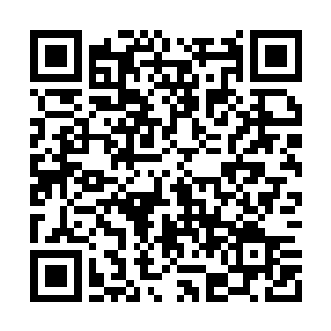 Link to your fundraiser QRCode - Fundraising