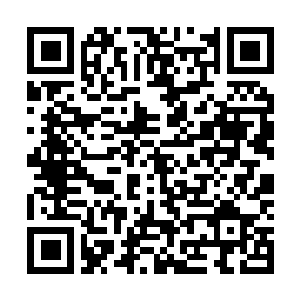 Link to your fundraiser QRCode - Fundraising