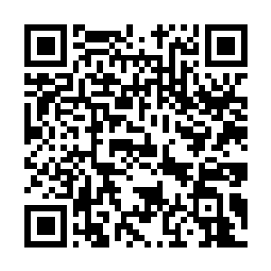 Link to your fundraiser QRCode - Fundraising