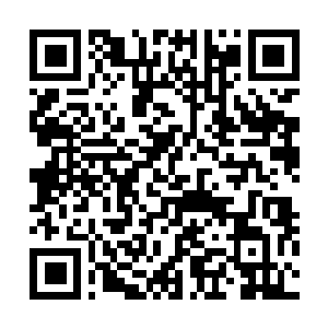 Link to your fundraiser QRCode - Fundraising