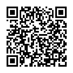 Link to your fundraiser QRCode - Fundraising