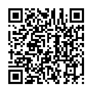 Link to your fundraiser QRCode - Fundraising