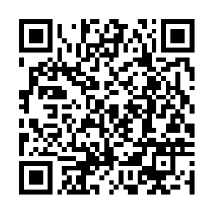 Link to your fundraiser QRCode - Fundraising