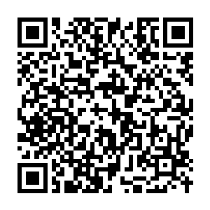 Link to your fundraiser QRCode - Fundraising