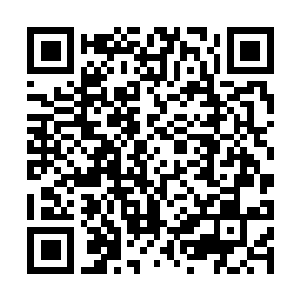 Link to your fundraiser QRCode - Fundraising