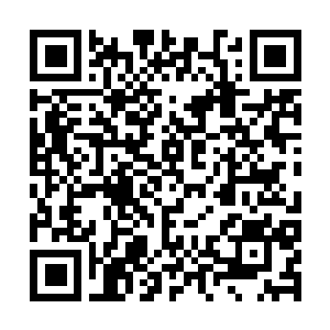 Link to your fundraiser QRCode - Fundraising