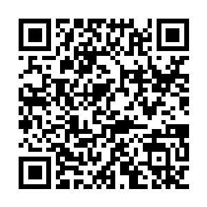 Link to your fundraiser QRCode - Fundraising