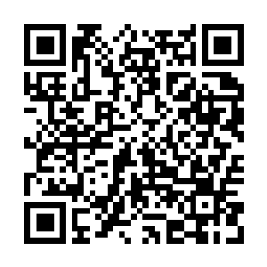Link to your fundraiser QRCode - Fundraising