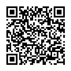 Link to your fundraiser QRCode - Fundraising