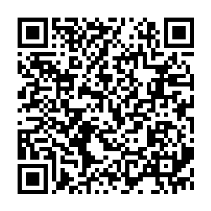 Link to your fundraiser QRCode - Fundraising