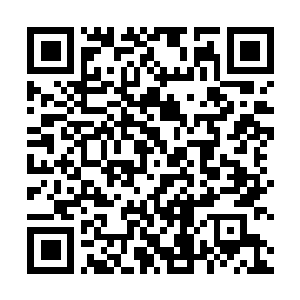 Link to your fundraiser QRCode - Fundraising