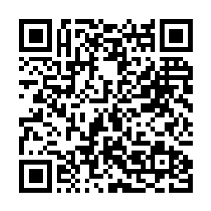 Link to your fundraiser QRCode - Fundraising