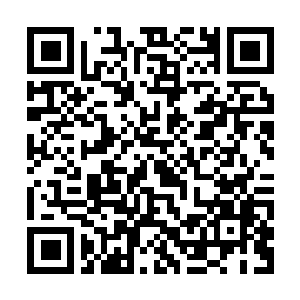 Link to your fundraiser QRCode - Fundraising