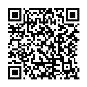 Link to your fundraiser QRCode - Fundraising