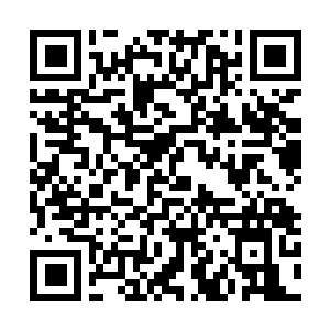 Link to your fundraiser QRCode - Fundraising