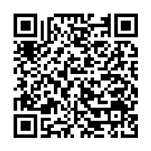 Link to your fundraiser QRCode - Fundraising