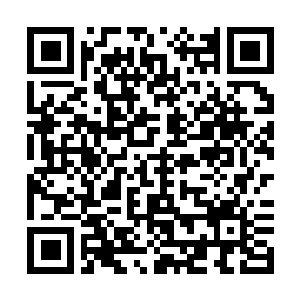 Link to your fundraiser QRCode - Fundraising