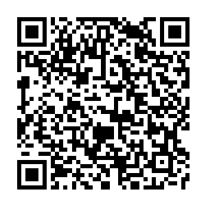 Link to your fundraiser QRCode - Fundraising