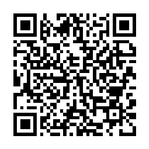 Link to your fundraiser QRCode - Fundraising