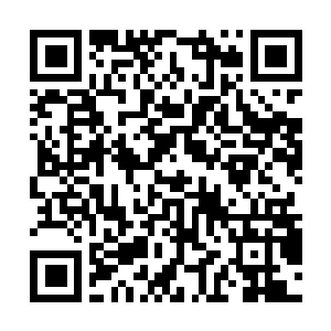 Link to your fundraiser QRCode - Fundraising