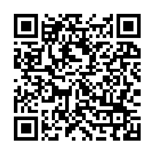 Link to your fundraiser QRCode - Fundraising