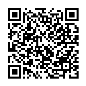 Link to your fundraiser QRCode - Fundraising