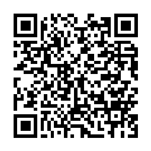Link to your fundraiser QRCode - Fundraising