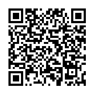 Link to your fundraiser QRCode - Fundraising