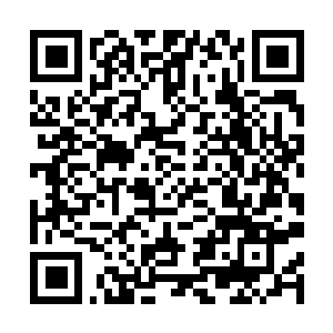 Link to your fundraiser QRCode - Fundraising
