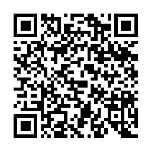 Link to your fundraiser QRCode - Fundraising