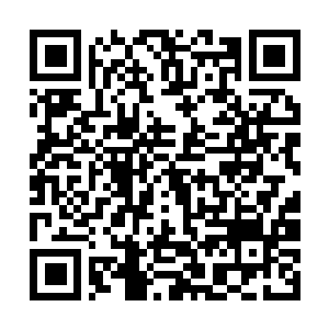 Link to your fundraiser QRCode - Fundraising