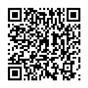 Link to your fundraiser QRCode - Fundraising